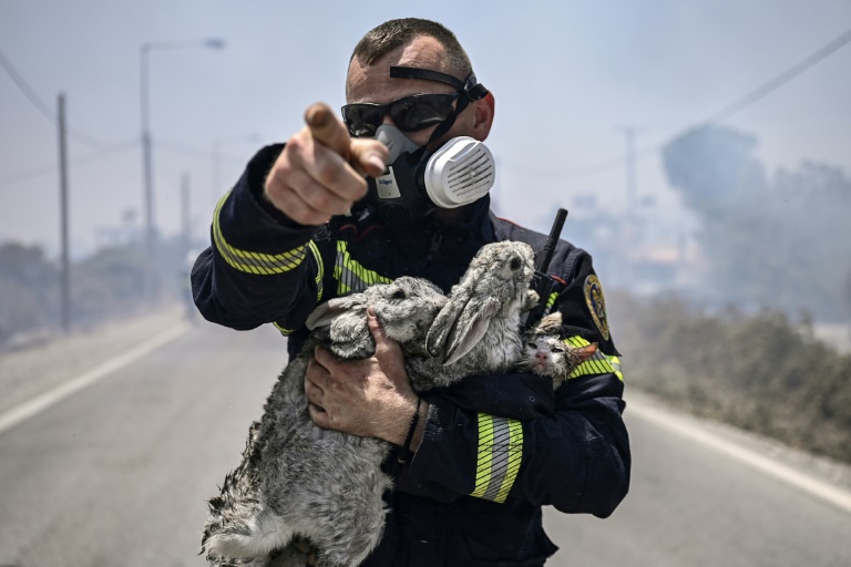 Ένας πυροσβέστης κρατάει κουνέλια και μια γάτα, που διασώθηκαν από τις φλόγες, κοντά στα ελληνικά χωριά Κιοτάρι και Γεννάδι, στο νησί της Ρόδου, στις 24 Ιουλίου 2023 (AFP - Σπύρος ΜΠΑΚΑΛΗΣ)