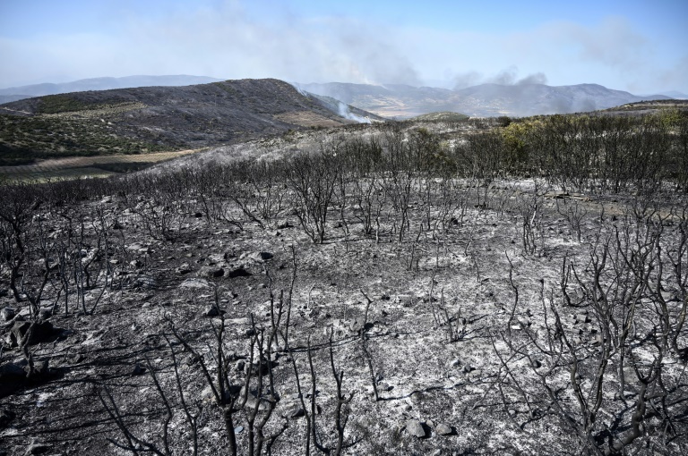 Γη ρημαγμένη από πυρκαγιά κοντά στην ελληνική πόλη του Βόλου στις 27 Ιουλίου 2023 (AFP - Σάκης ΜΗΤΡΟΛΙΔΗΣ)