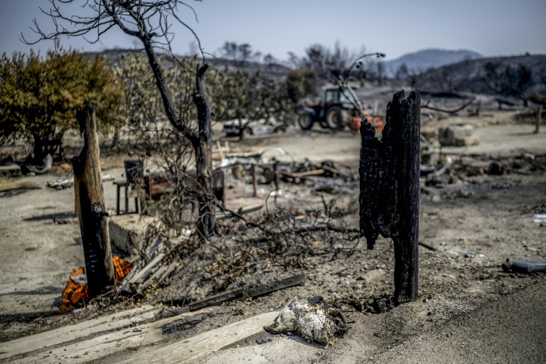 Ένα αγρόκτημα μετά από πυρκαγιές κοντά στο ελληνικό χωριό Γεννάδι, στο νότιο τμήμα του νησιού της Ρόδου, στις 27 Ιουλίου 2023 (AFP - Άγγελος Τζωρτζίνης)