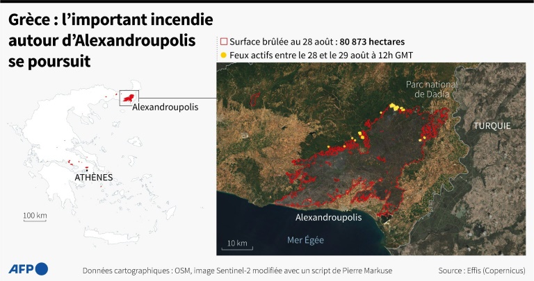Ελλάδα: Η μεγάλη πυρκαγιά γύρω από την Αλεξανδρούπολη συνεχίζεται (AFP - Sabrina BLANCHARD, Cléa PÉCULIER)