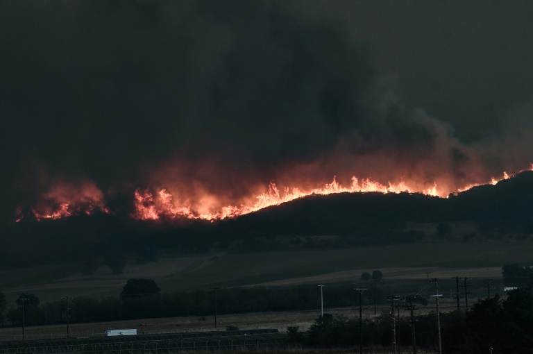 Δασική πυρκαγιά κοντά στην Αλεξανδρούπολη στις 21 Αυγούστου 2023 στη βόρεια Ελλάδα (AFP - Σάκης Μητρολίδης)