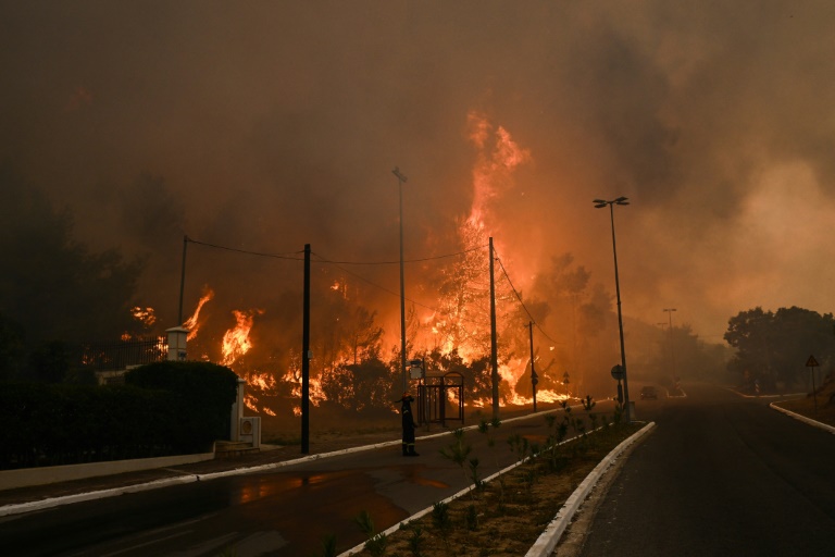 Δασική πυρκαγιά στα Χασιά, στα περίχωρα της Αθήνας, στις 22 Αυγούστου 2023 στην Ελλάδα (AFP - Άγγελος Τζωρτζίνης)