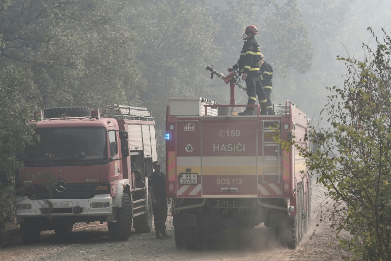 Πυροσβέστες από τη Σλοβακία ανταποκρίνονται σε δασική πυρκαγιά στον εθνικό δρυμό Δαδιάς, κοντά στην Αλεξανδρούπολη, στις 2 Σεπτεμβρίου 2023 στη βόρεια Ελλάδα (AFP - Σάκης Μητρολίδης)