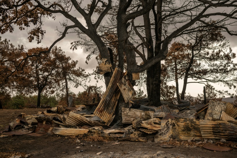 Τα συντρίμμια ενός ποιμνιοστασίου που κάηκε σε δασική πυρκαγιά στην περιοχή του Έβρου, κοντά στο χωριό Δαδιά, στις 26 Οκτωβρίου 2023 στην Ελλάδα (AFP - Άγγελος Τζωρτζίνης)