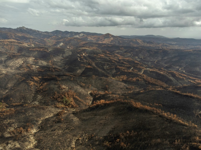 Αεροφωτογραφία ενός καμένου δάσους στην περιοχή του Έβρου, κοντά στο χωριό Δαδιά, στις 26 Οκτωβρίου 2023 στην Ελλάδα (AFP - Άγγελος Τζωρτζίνης)